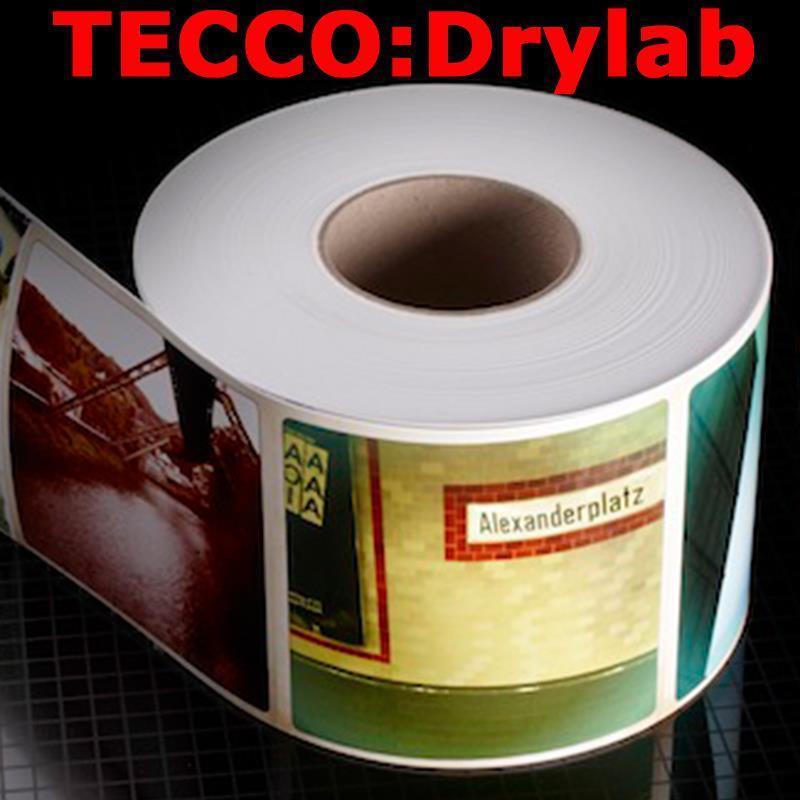 Tecco:DryLab SP290 Silk Portrait, 4“ (102 mm) x 55,5 m, 4 role