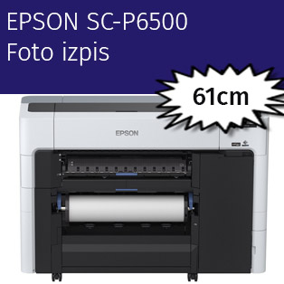 Epson SureColor SC-P6500E